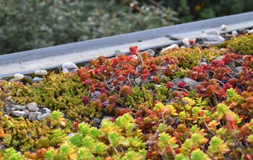 the cost of Lisvane green roof installation