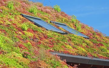 Lisvane living roof systems