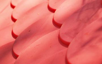 Lisvane plastic roof costs