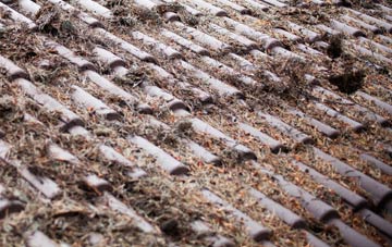 Lisvane roof cleaning companies