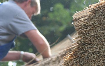 professional Lisvane thatchers