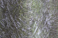 Lisvane fibreglass roof work