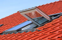 Lisvane roof window