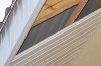 rated Lisvane soffit repair companies